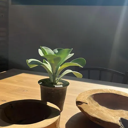 Cal Passacostes Cb Сольсона